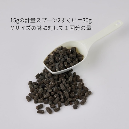 体力ベース 300g
