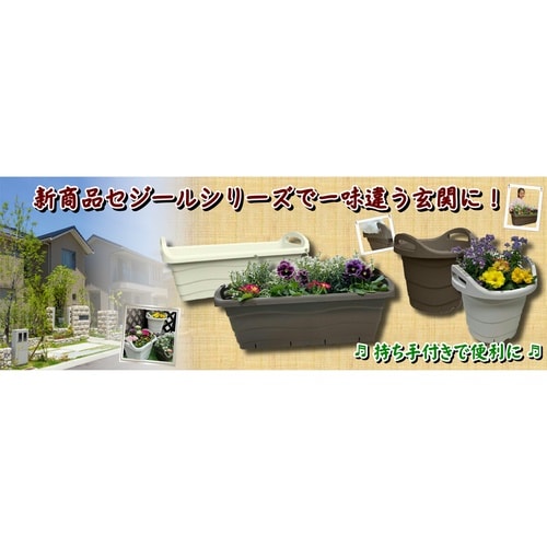 セジールプランター 550型 チョコ