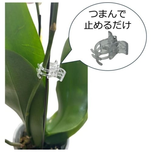 園芸クリップM クリア 10P