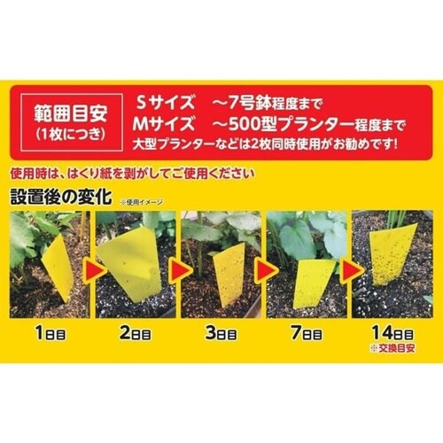 虫取りトラップラベル S 5マイイリ