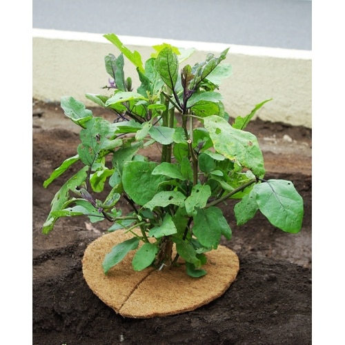 ポット用Naturalしきわらいらず ケイ32cm