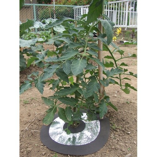 野菜を育てるしきわらいらず 2枚入ピン付 25cm