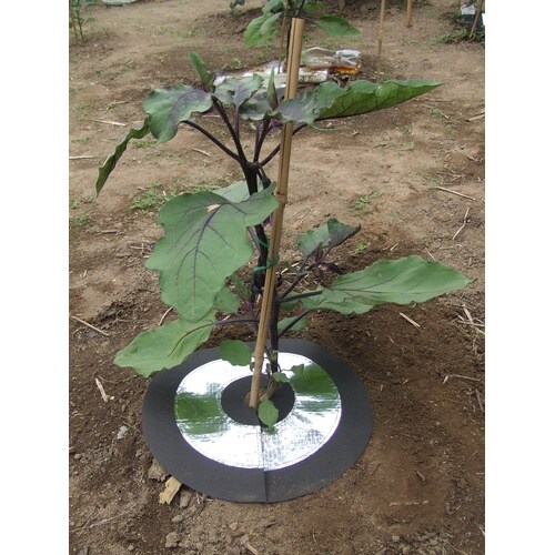 野菜を育てるしきわらいらず 2枚入ピン付 25cm