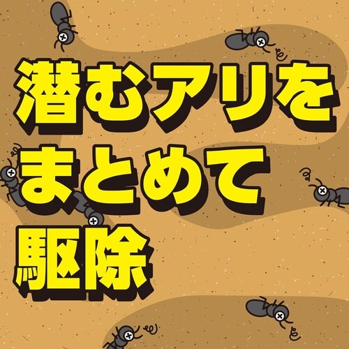 アリ撃滅 シャワータイプ 1000ml
