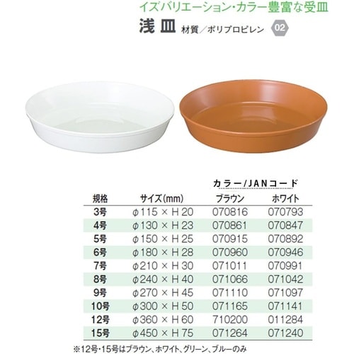 浅皿 10ゴウ W