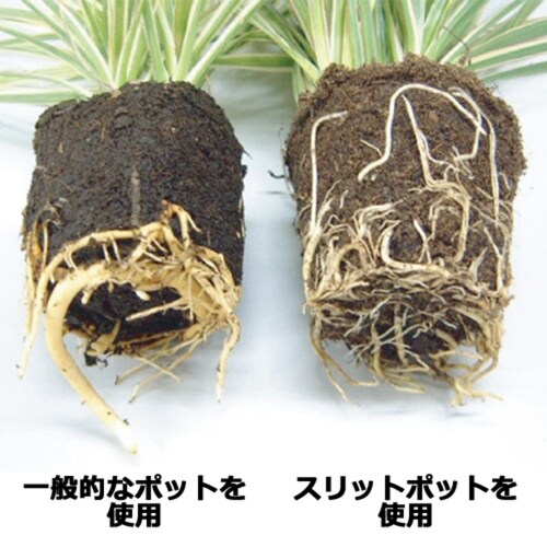 スリットポット5個入 角 9.0cm