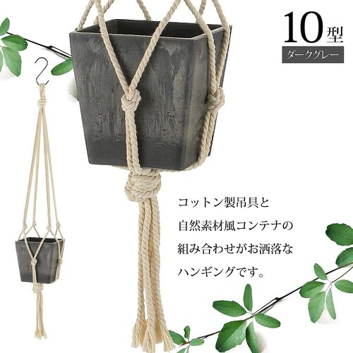 ボタニー ハンギングキューブ 10型 DG
