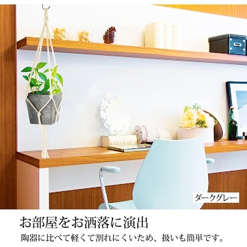 ボタニー ハンギングキューブ 12型 DG