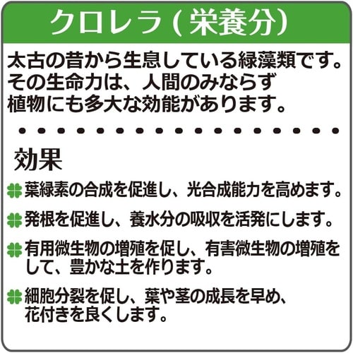 クロレラの恵みR種まきとベビーリーフの土 0.6L