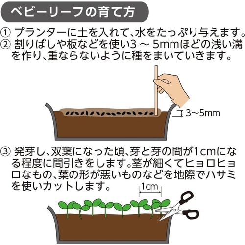 クロレラの恵みR種まきとベビーリーフの土 0.6L