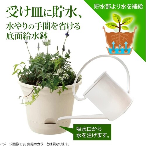 ウルオ ポット 25型N BE