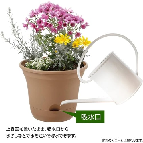 ウルオ ポット 25型N BE