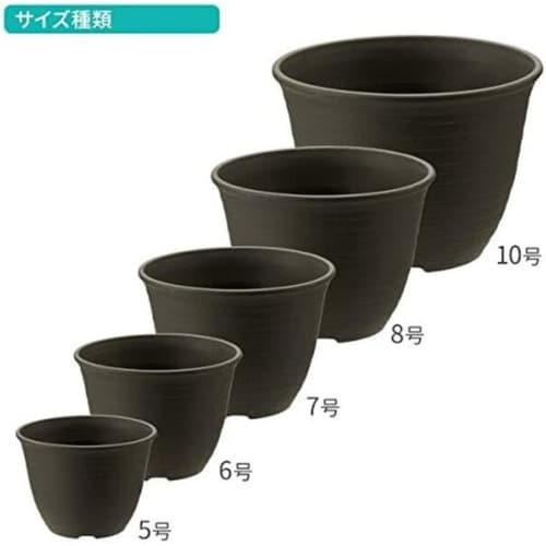 エコル ポット 6号 DG