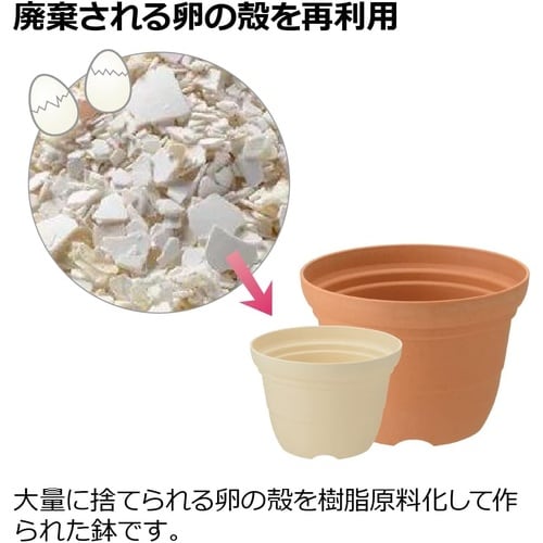 ひよっこ ポット 6号 BE
