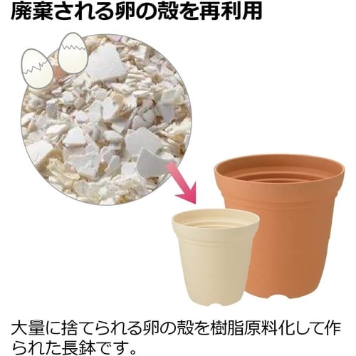 ひよっこ ハイポット 5号 BE