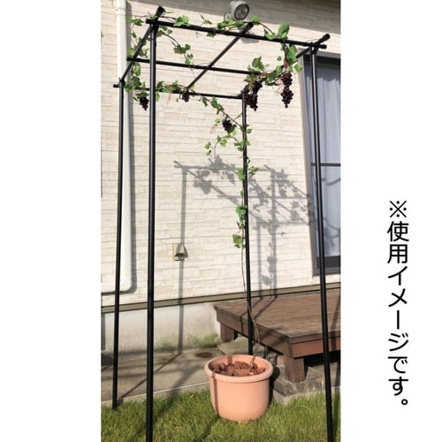 フルーツ棚 90cmX90cm