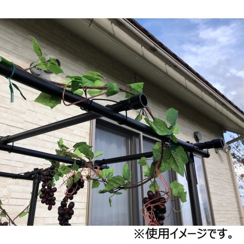 フルーツ棚 90cmX90cm