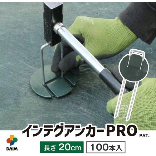 インデグアンカーPRO 20cm100P