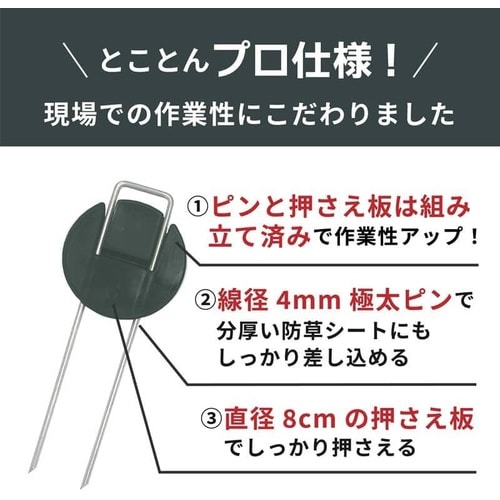 インデグアンカーPRO 20cm100P
