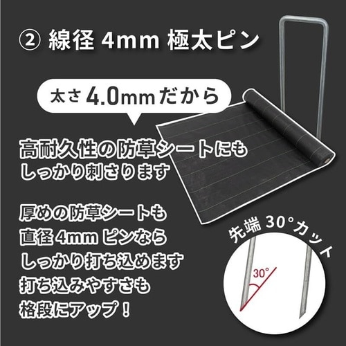 インデグアンカーPRO 20cm100P