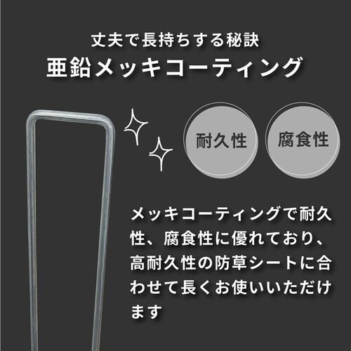 インデグアンカーPRO 20cm100P