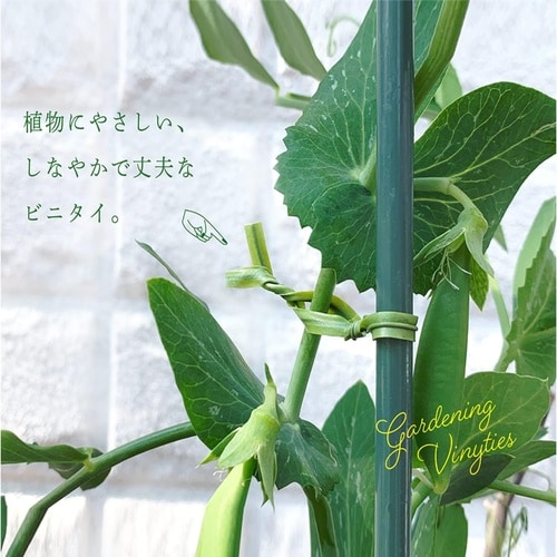 ビニタイ 園芸用 緑 15cm 200ポンイリ
