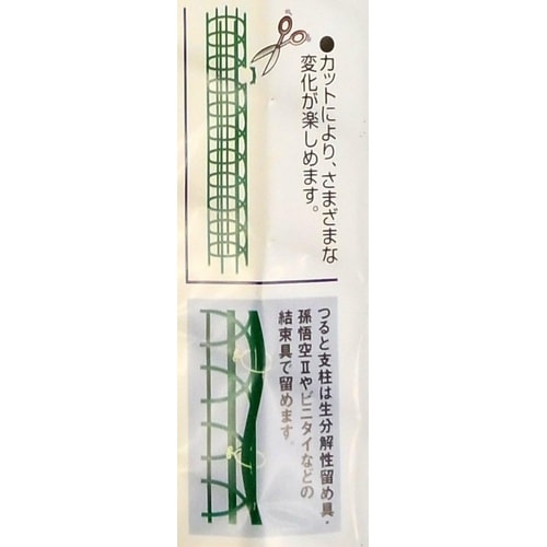 プラヘゴ 60cm