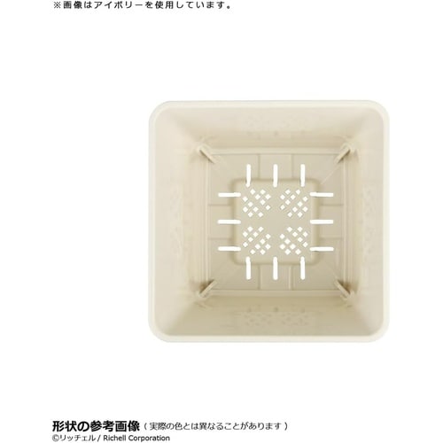 ベビーリーフプランター 12型N DG