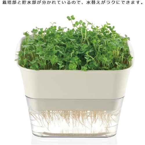 スプラウトファーム 12型N DG