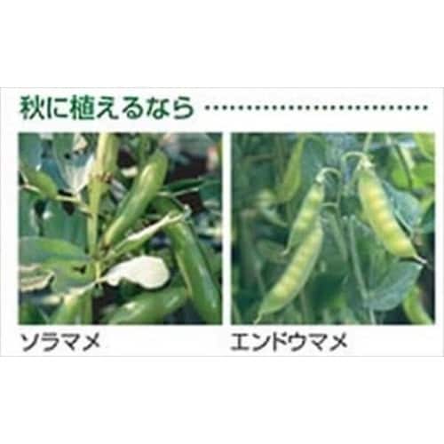菜園上手 丸36型 GR