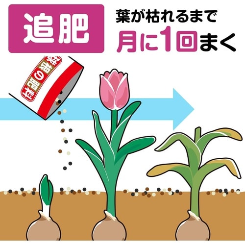 球根の肥料 400g