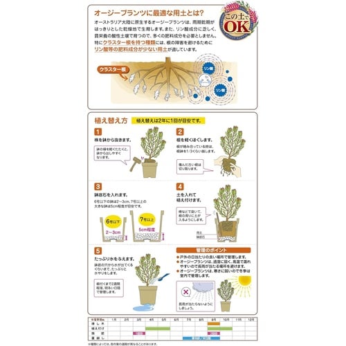 オージプランツの土 12L