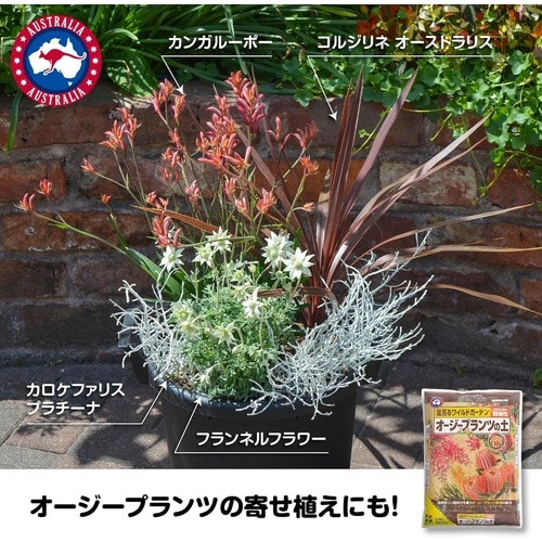 オージプランツの土 12L