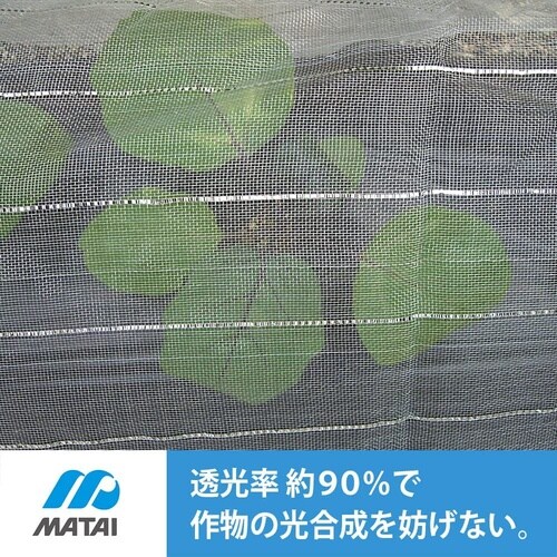 防虫メッシュきらり 透明 1.35x10m