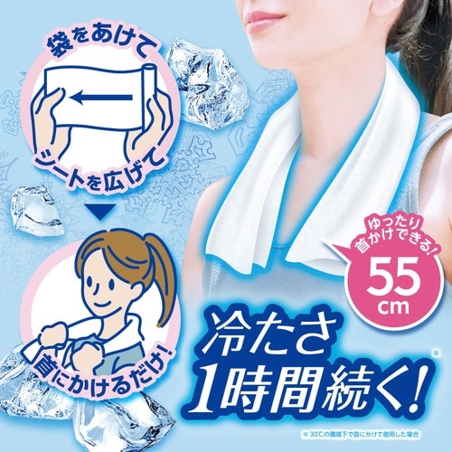 アイスノン 冷んやりタオル 10包入 個包装 無香