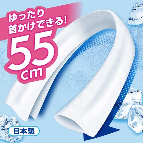 アイスノン 冷んやりタオル 10包入 個包装 無香