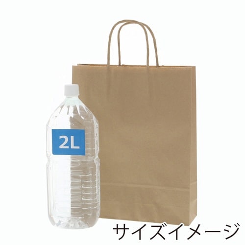 手提げ紙袋 25チャームバッグ MS1 未晒無地