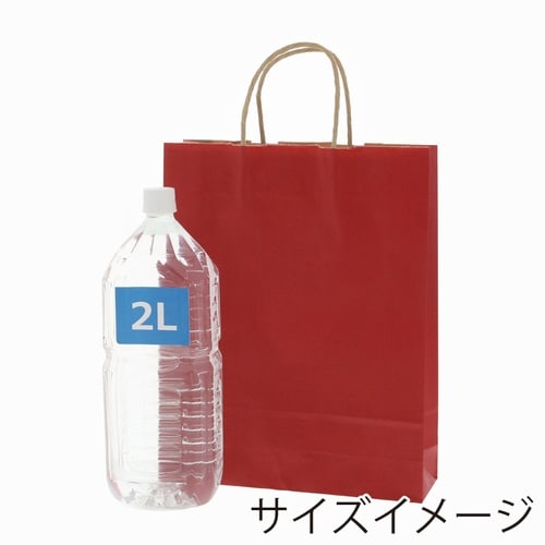 手提げ紙袋 25チャームバッグ MS1 未晒 赤C