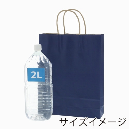 手提げ紙袋 25CB MS1 未晒 ネイビーC