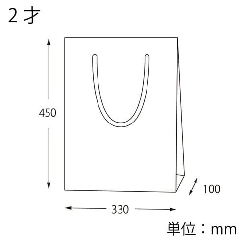 紙袋 カラーチャームバッグ 2才 エンジ