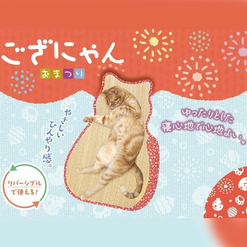 ござにゃん おまつり