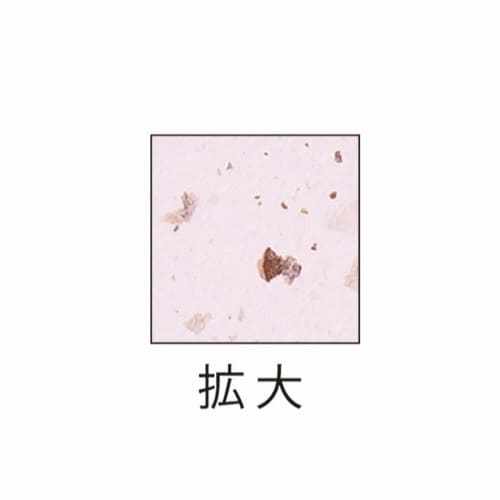 サステナブルクラッポ あずき 厚口 10枚入×5