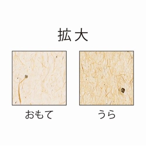 サステナブルクラッポ パームヤシ 10枚入×5