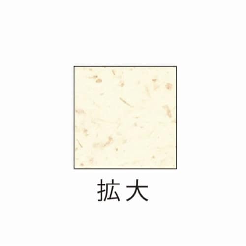 サステナブルクラッポバナナ20% 10枚入×5