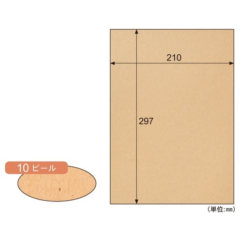 サステナブルクラッポ ビール 10枚入×5
