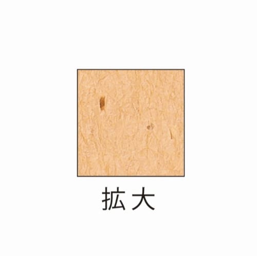 サステナブルクラッポ ビール 10枚入×5