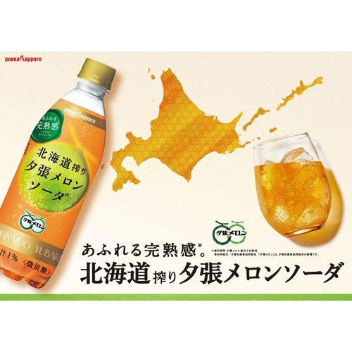 北海道搾り夕張メロンソーダ 500ml・24本入