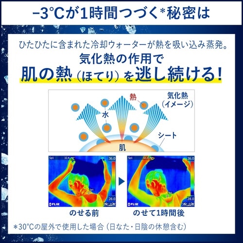 ビオレ 冷タオル 無香性 特別梱240本入