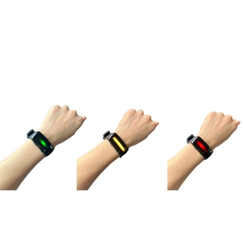 hamon band 2