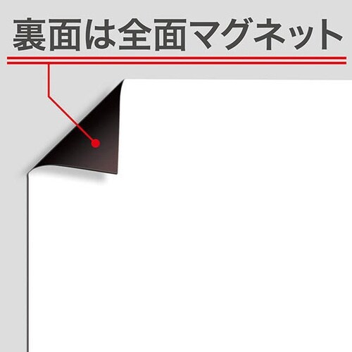 カラーシート5060白